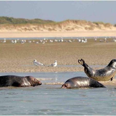 Escapade Berckoise, Berck Plage Dış mekan fotoğraf