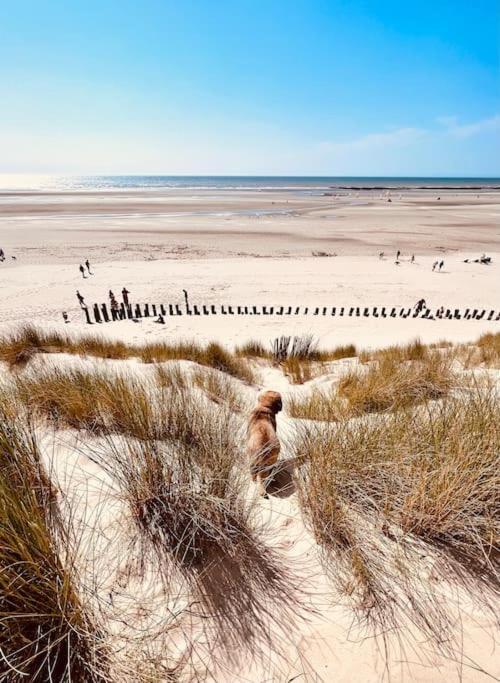 Escapade Berckoise, Berck Plage Dış mekan fotoğraf